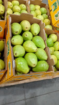 Pink Guava