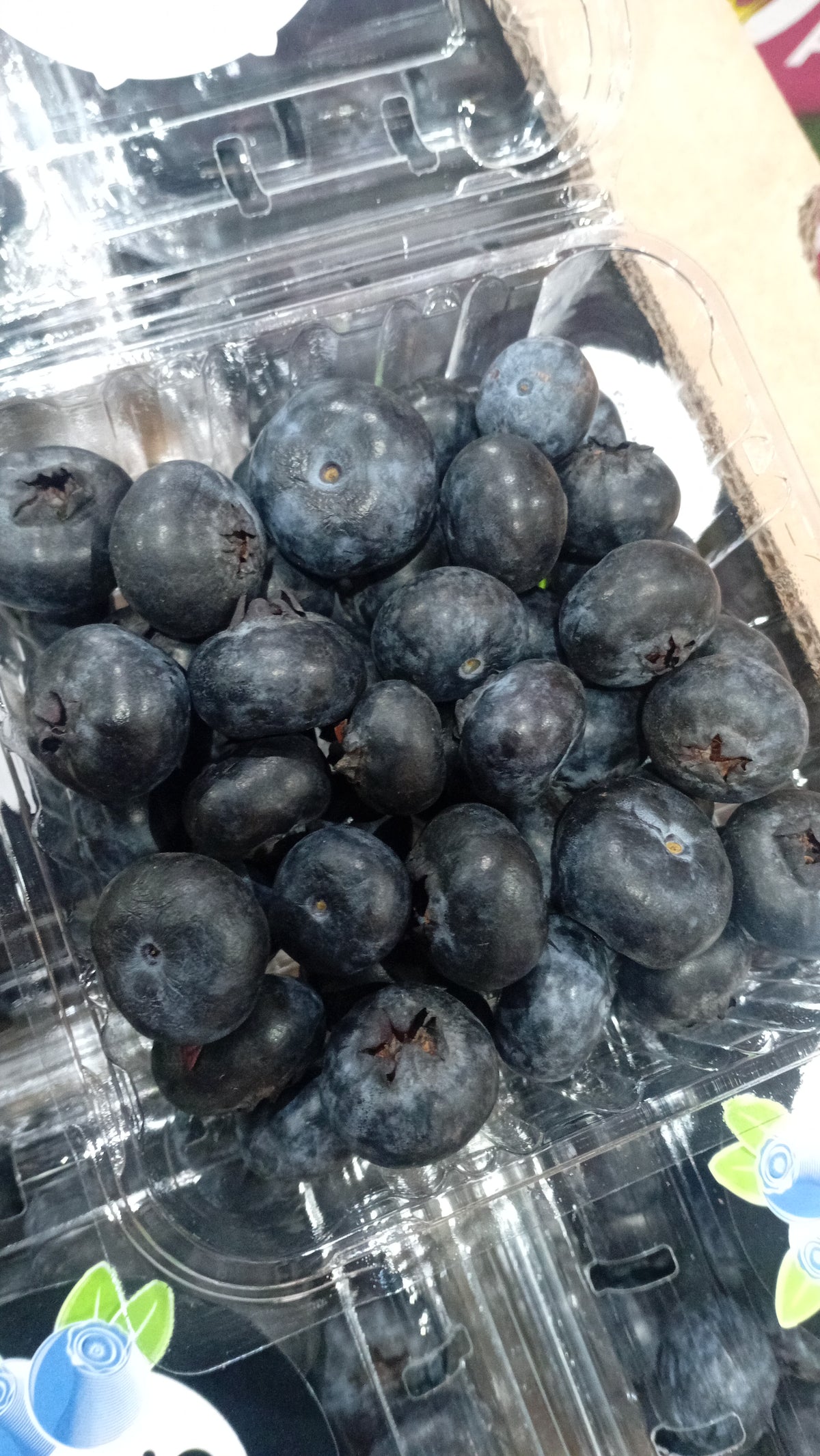 Blueberries