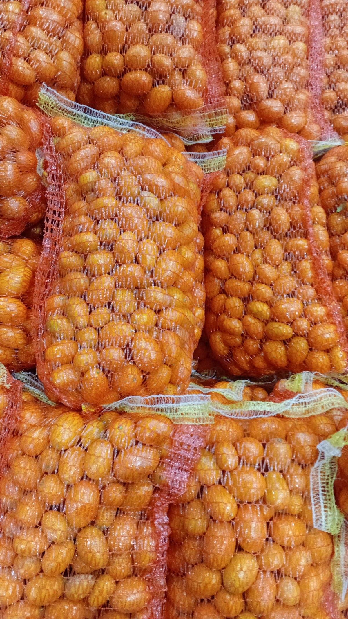 Kumquats