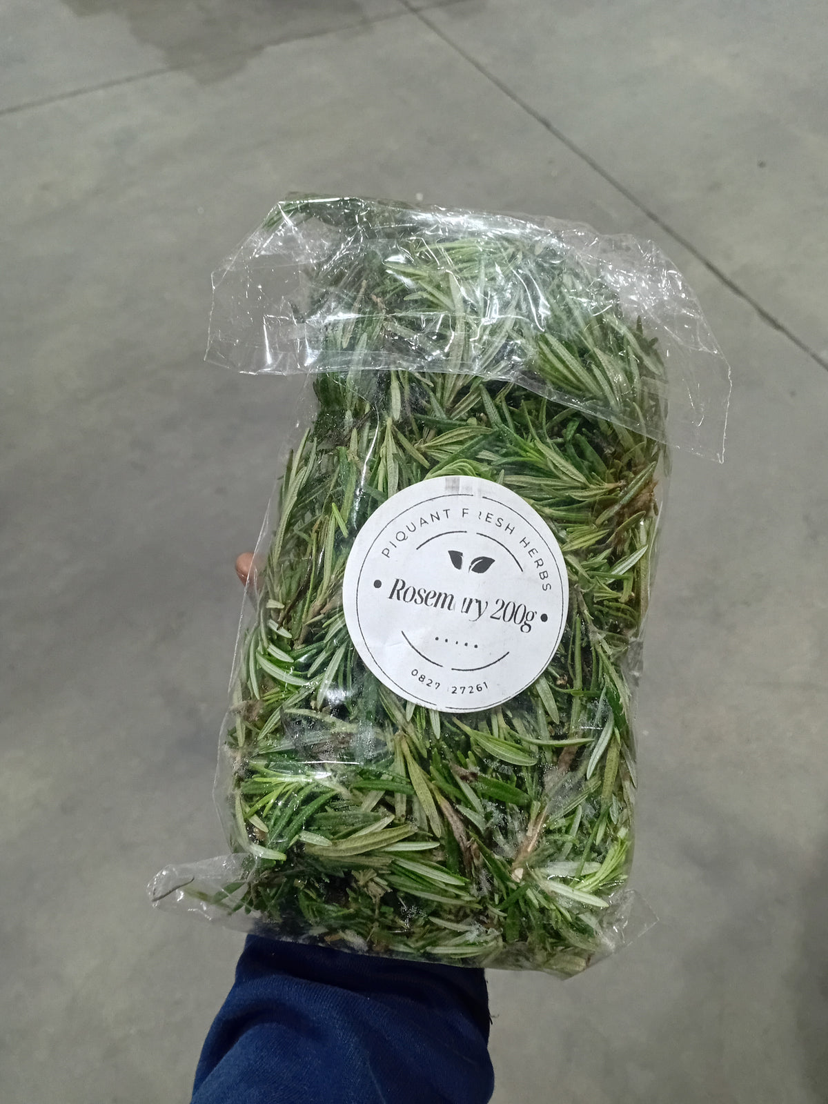 Rosemary herb