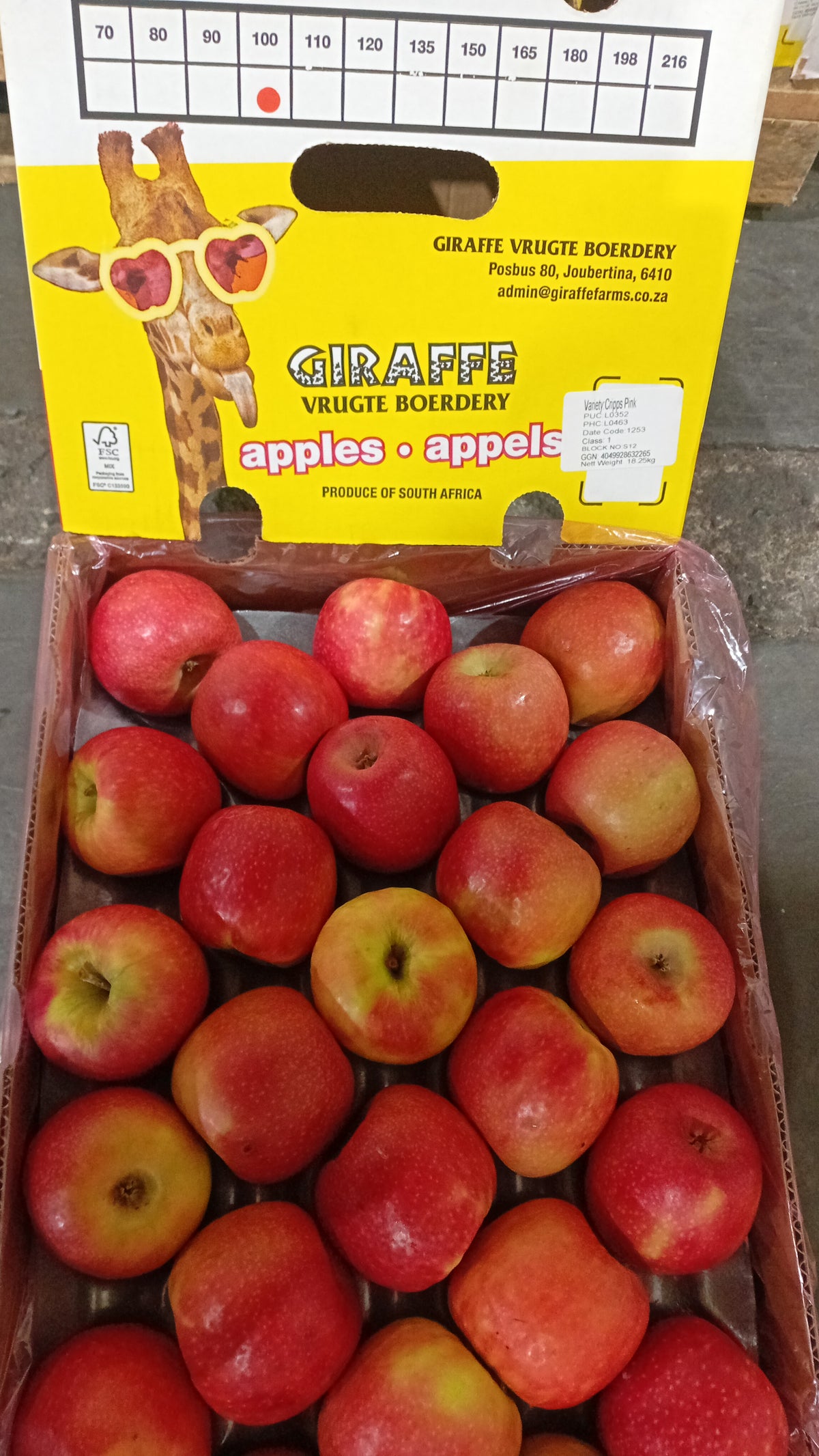 Apples