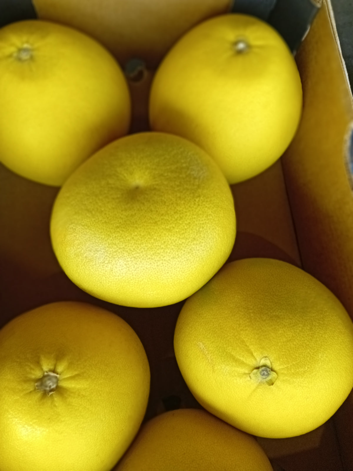 Pomelo