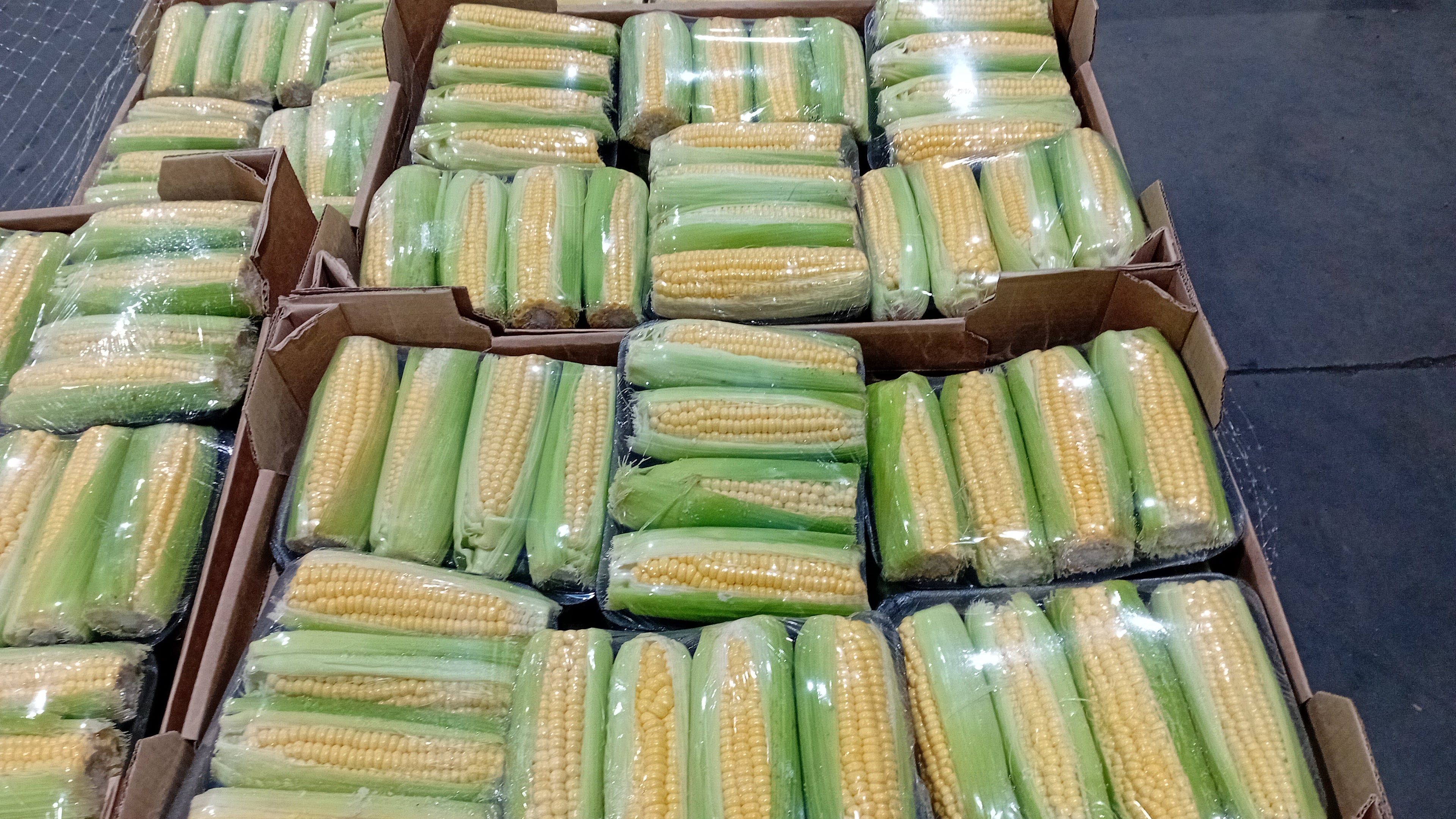 Sweetcorn