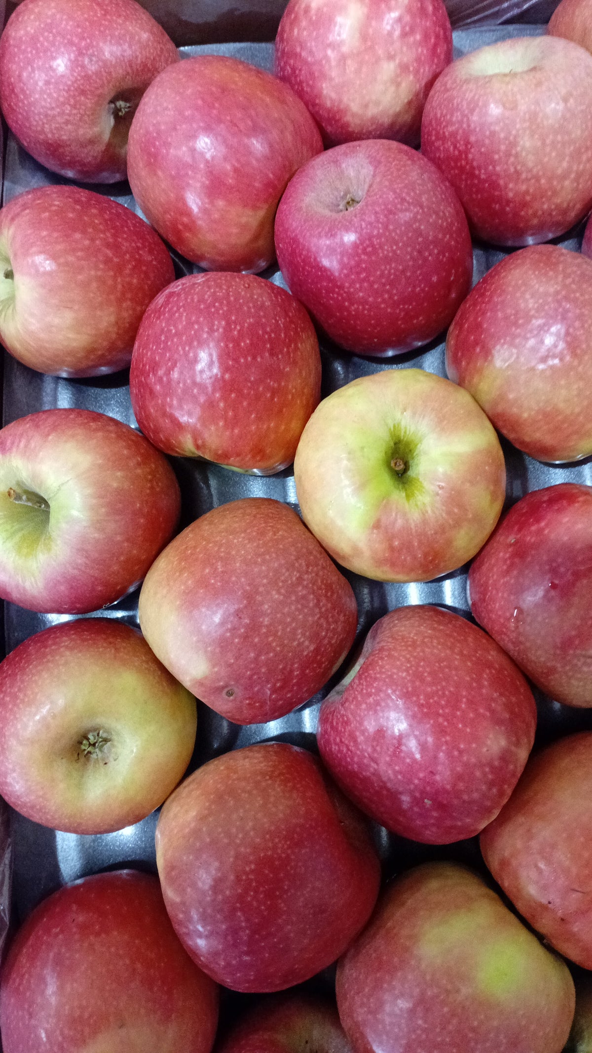Apples