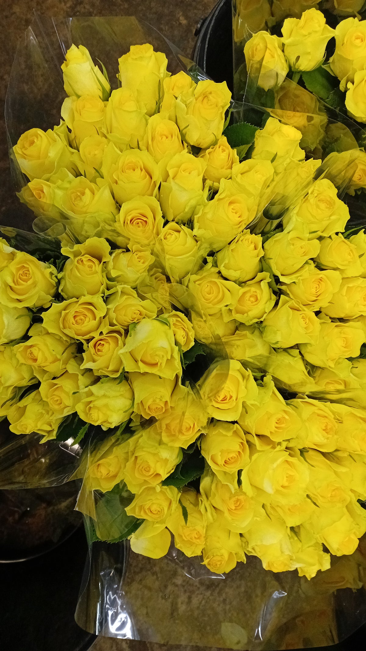 Yellow roses