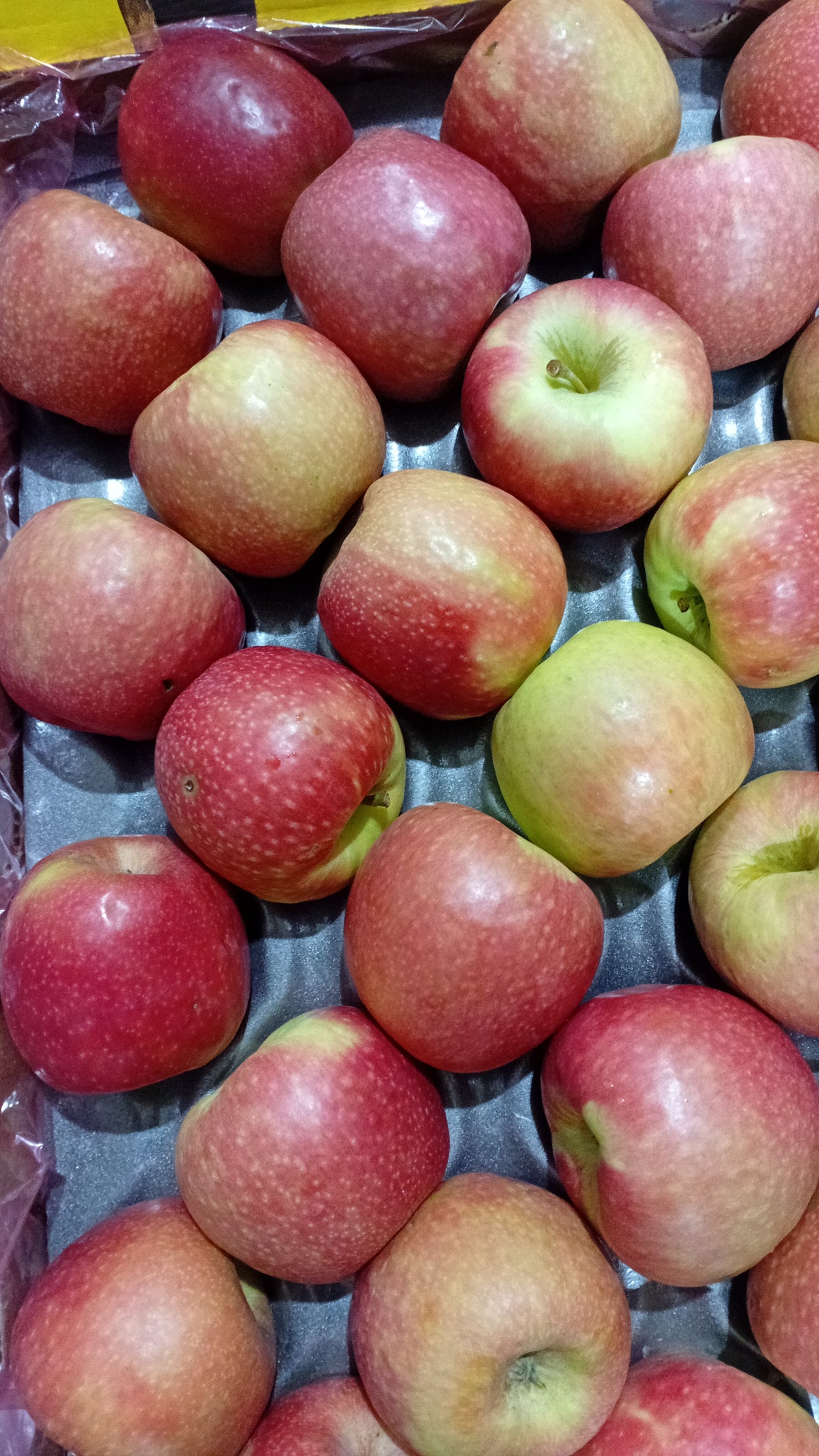 Apples
