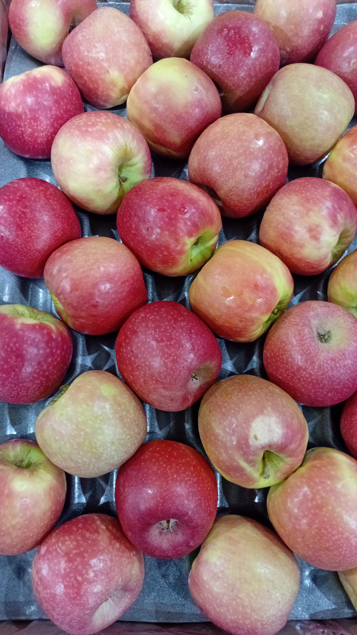 Apples
