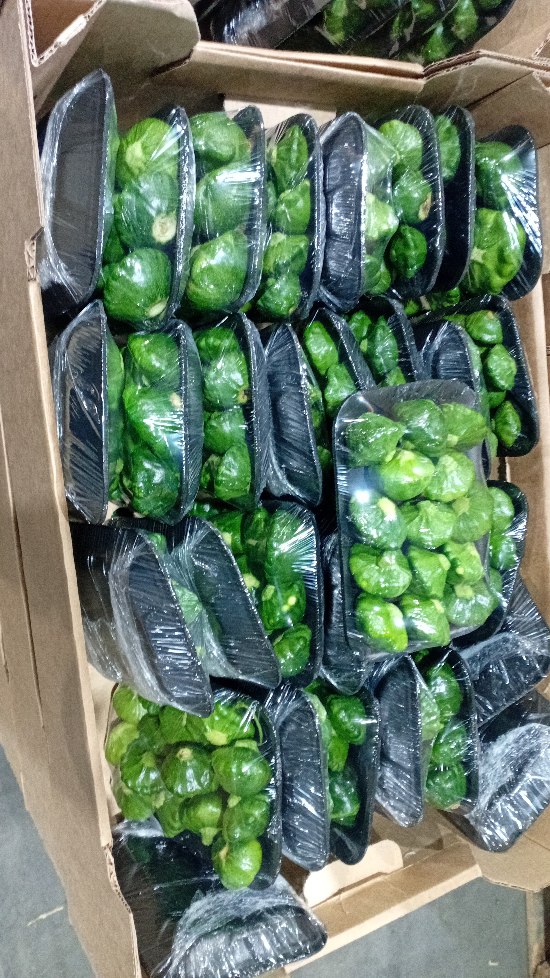 Patty Pans