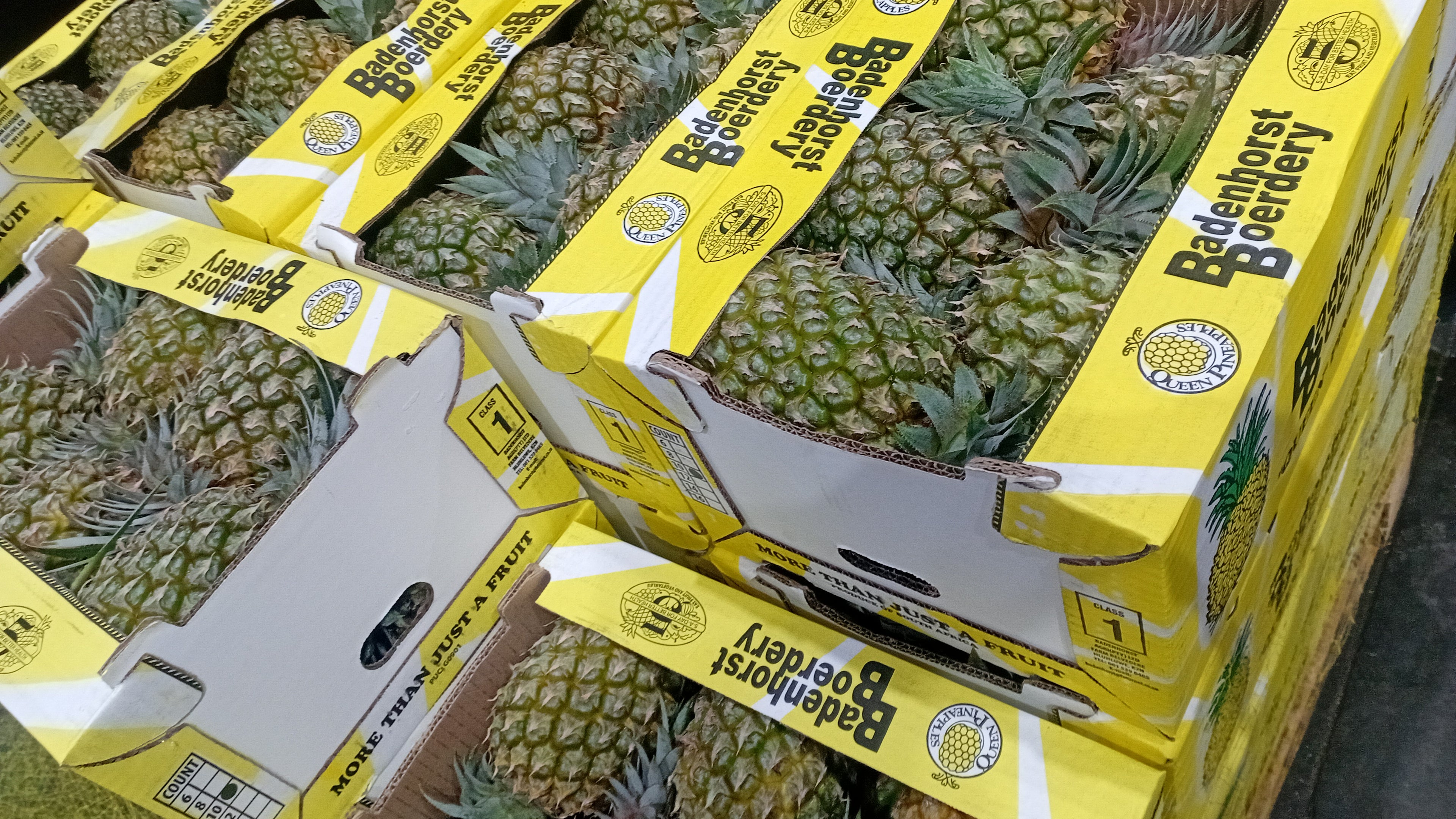 Pineapple