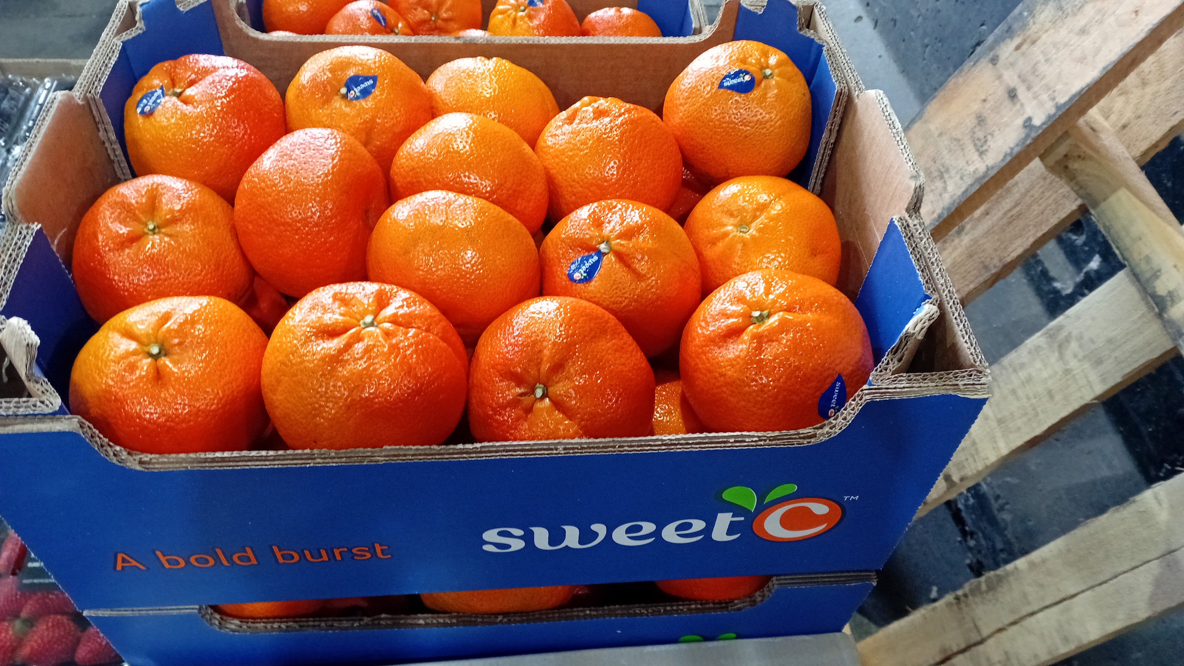 Naartjies