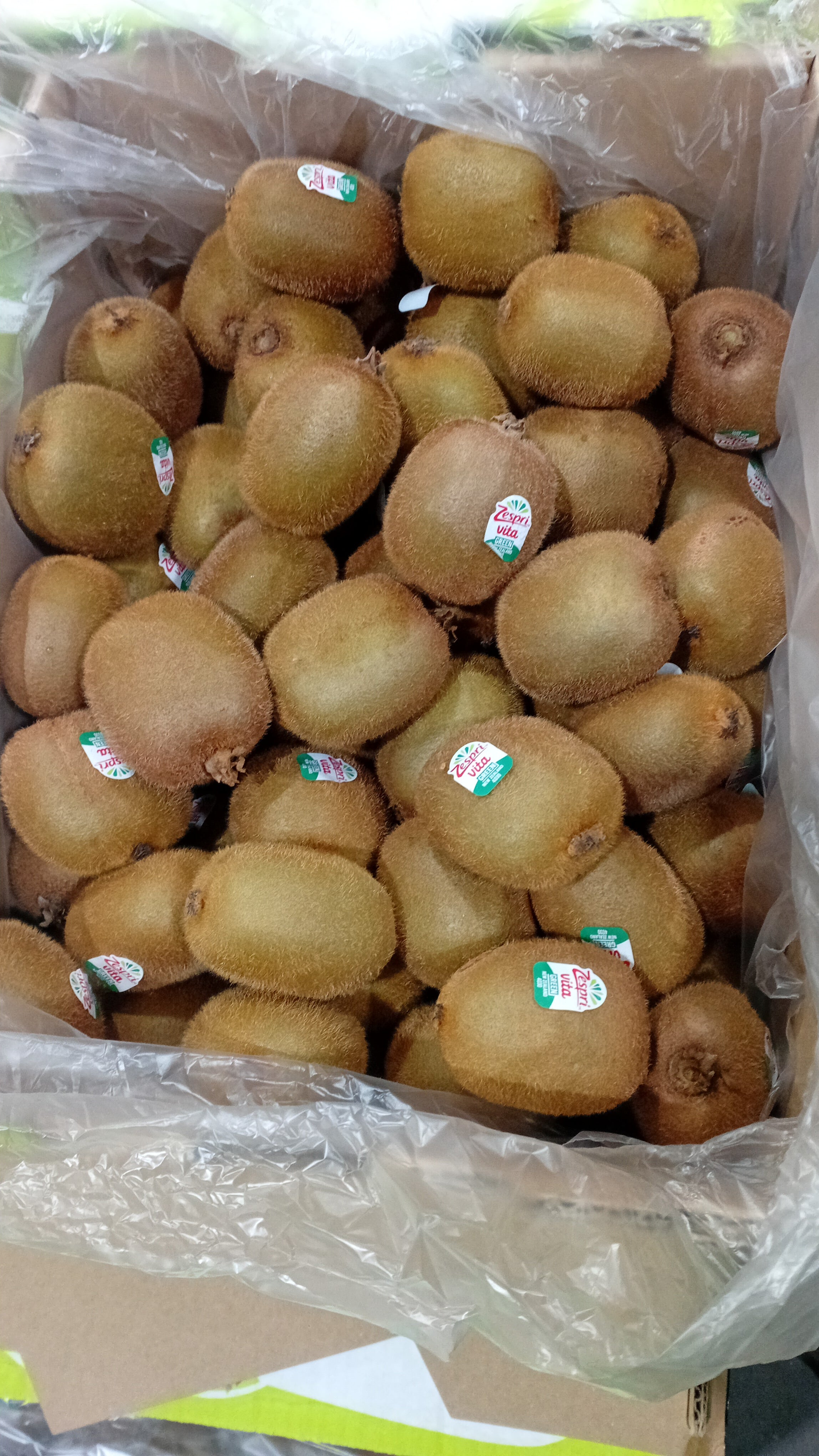 Kiwi