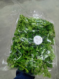 Parsley herb