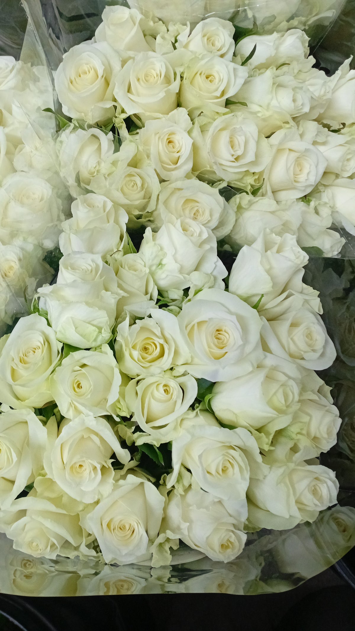 White Roses