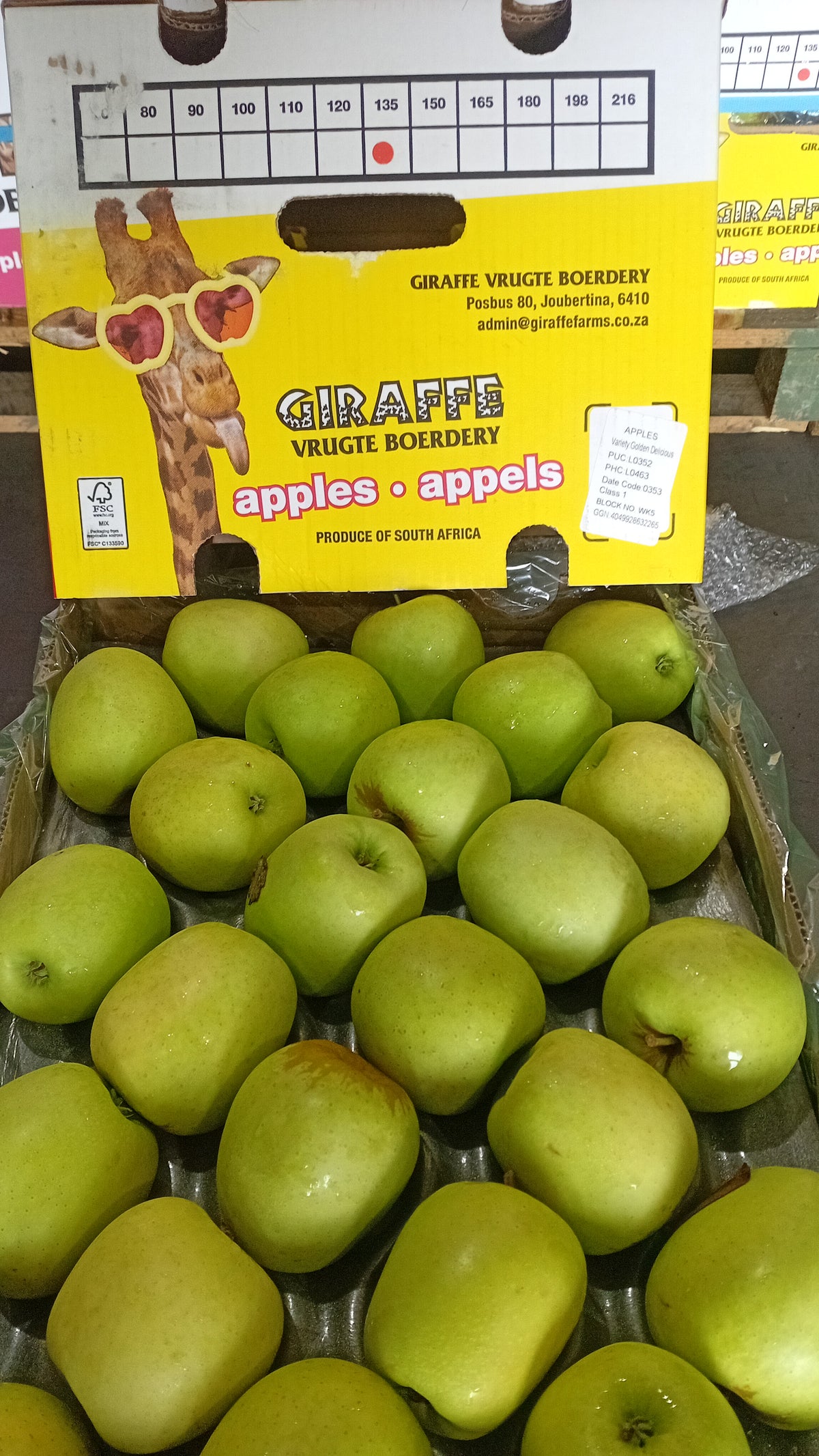 Apple