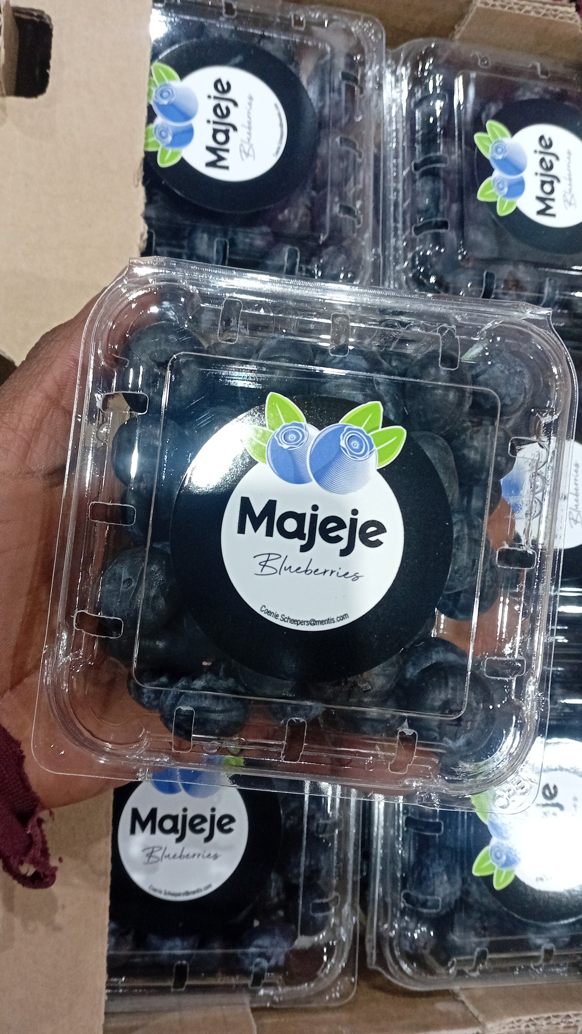 Blueberries